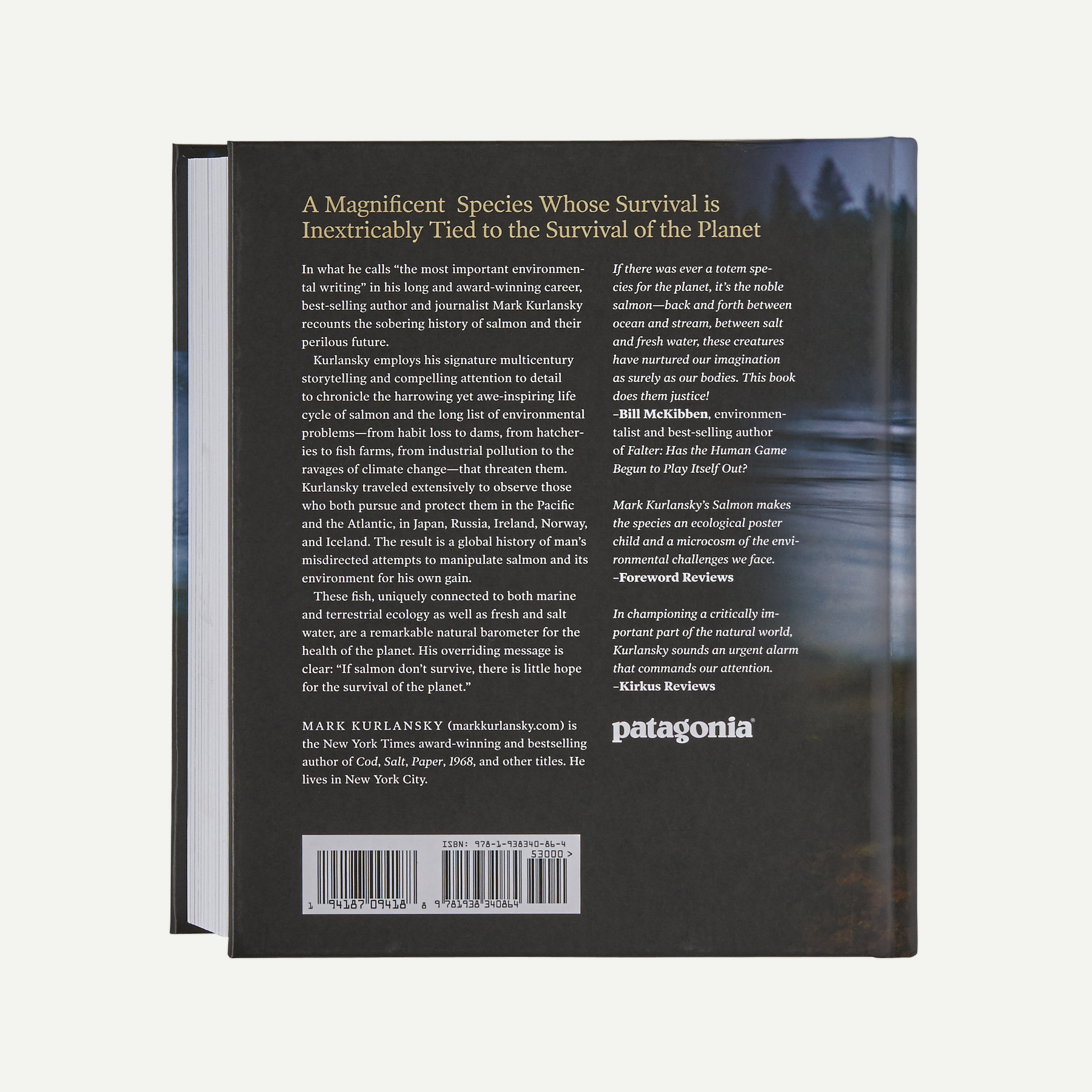 Salmon: A Fish, the Earth and the History of Their Common Fate (hardcover book published by Patagonia) - Image 2