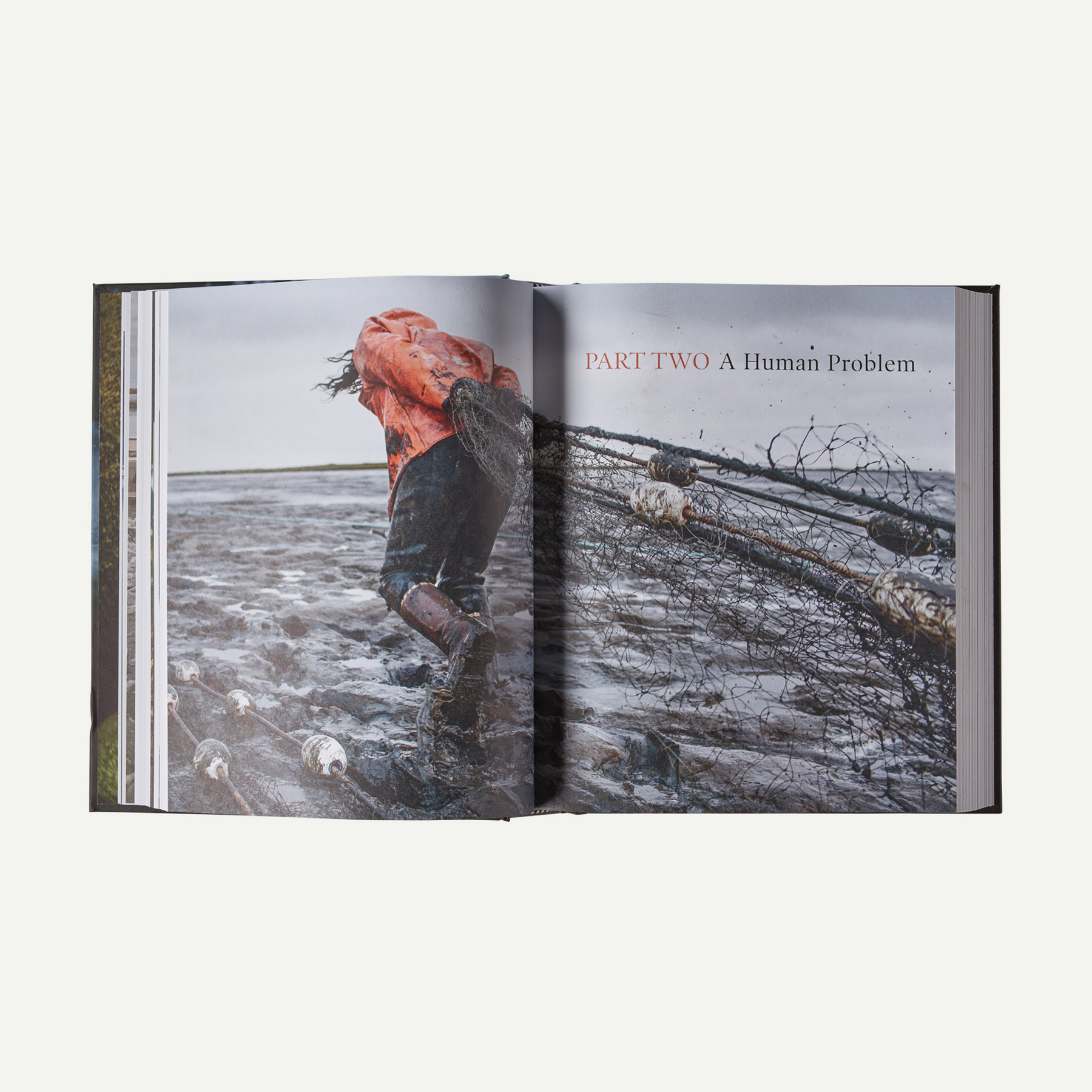 Salmon: A Fish, the Earth and the History of Their Common Fate (hardcover book published by Patagonia) - Image 4