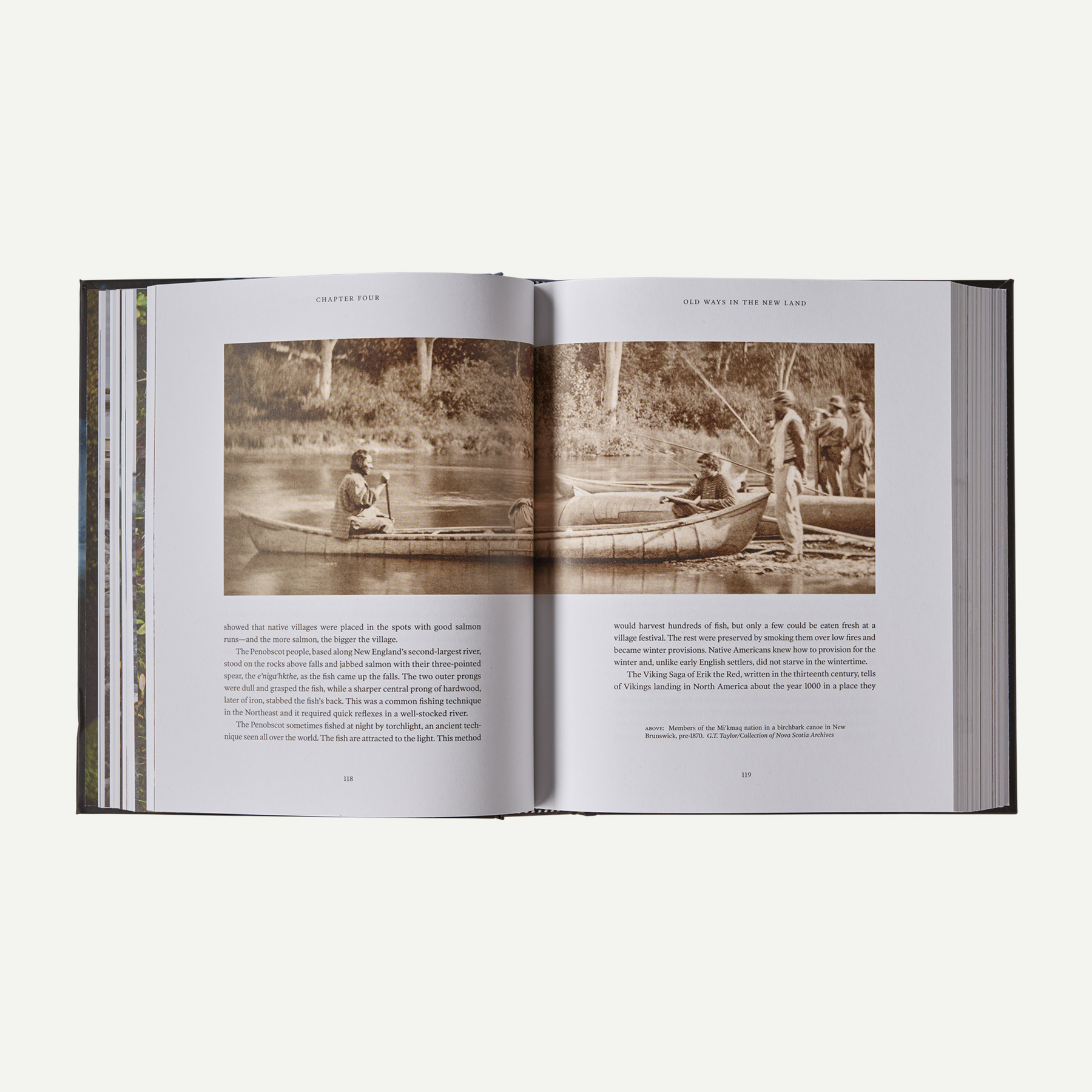 Salmon: A Fish, the Earth and the History of Their Common Fate (hardcover book published by Patagonia) - Image 5