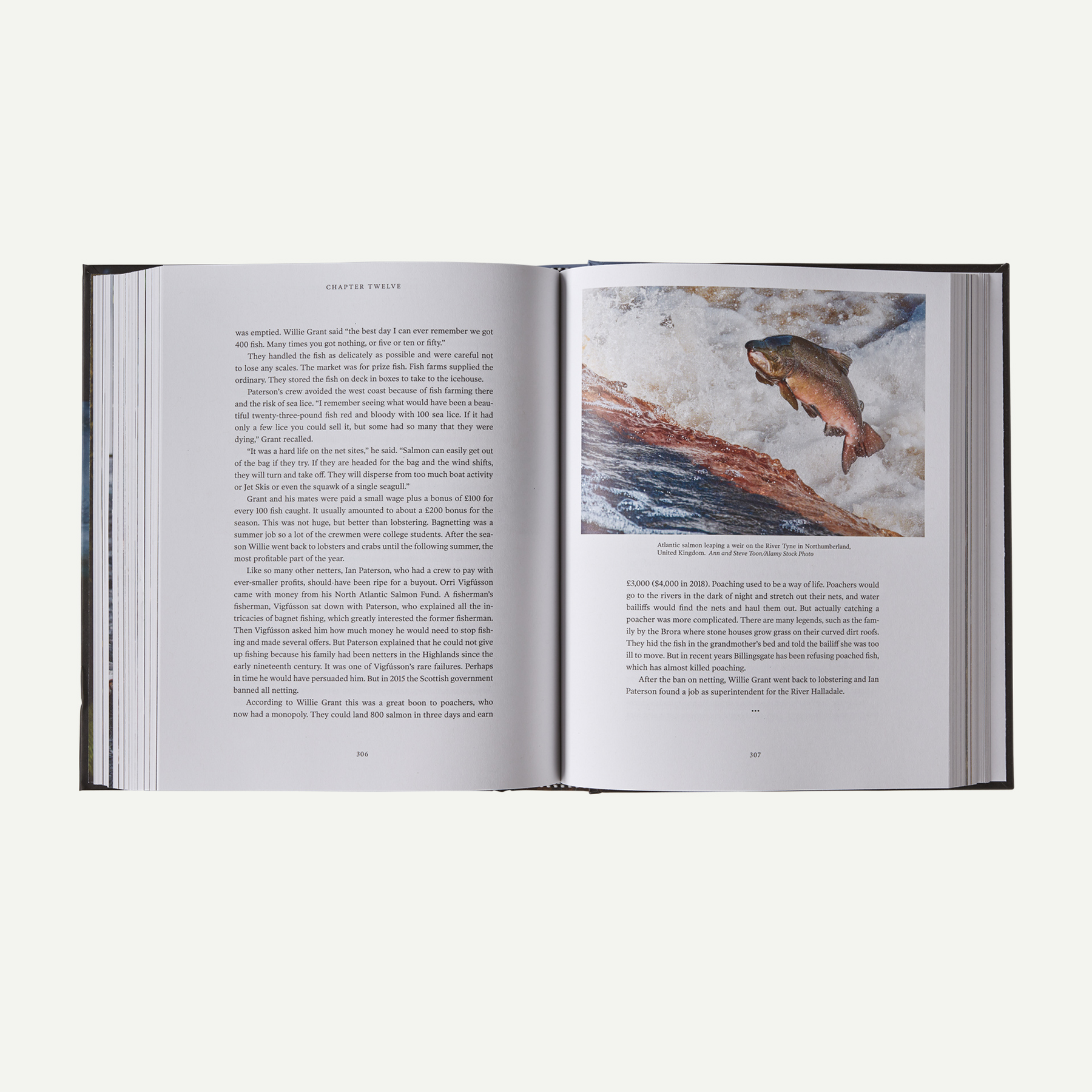 Salmon: A Fish, the Earth and the History of Their Common Fate (hardcover book published by Patagonia) - Image 6