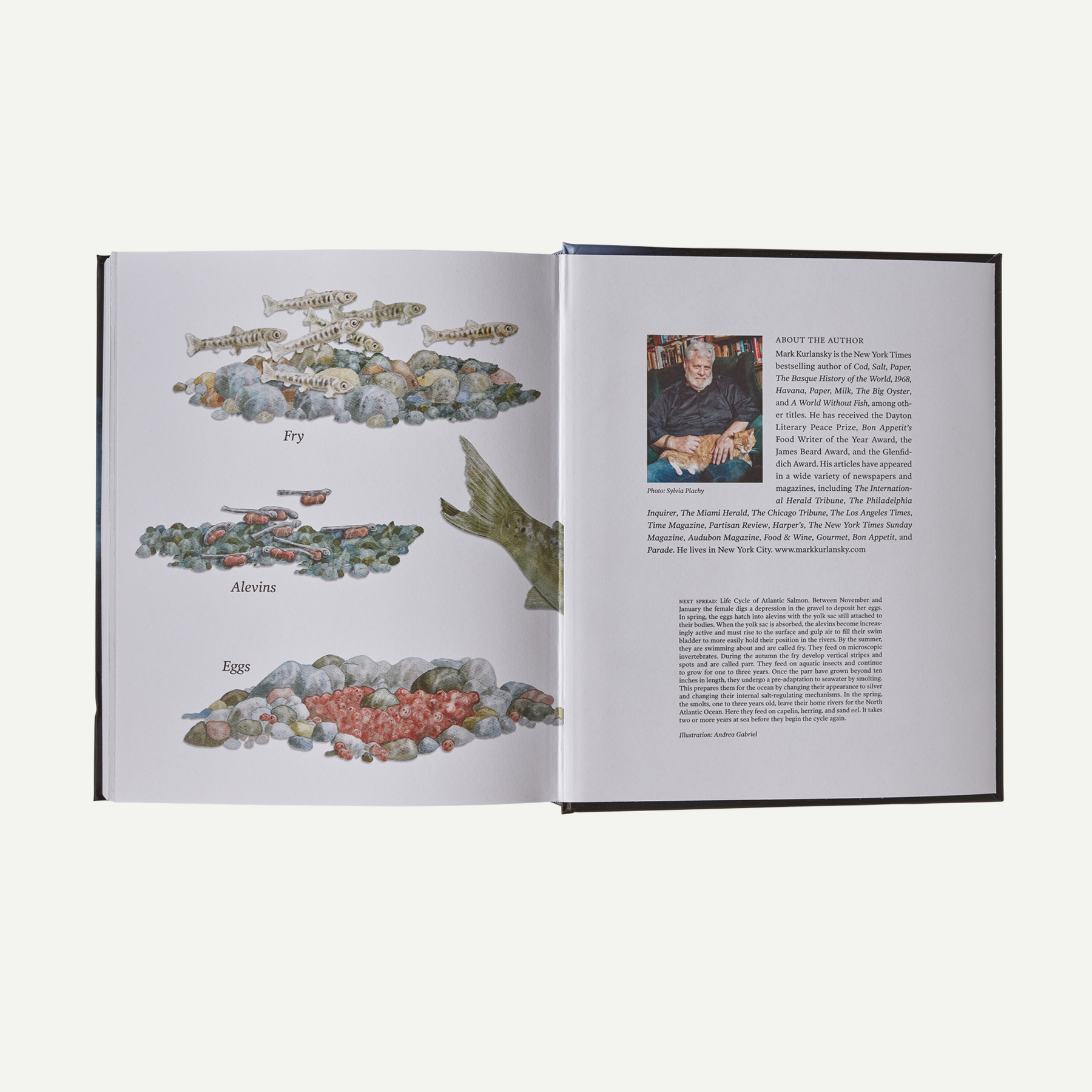 Salmon: A Fish, the Earth and the History of Their Common Fate (hardcover book published by Patagonia) - Image 8