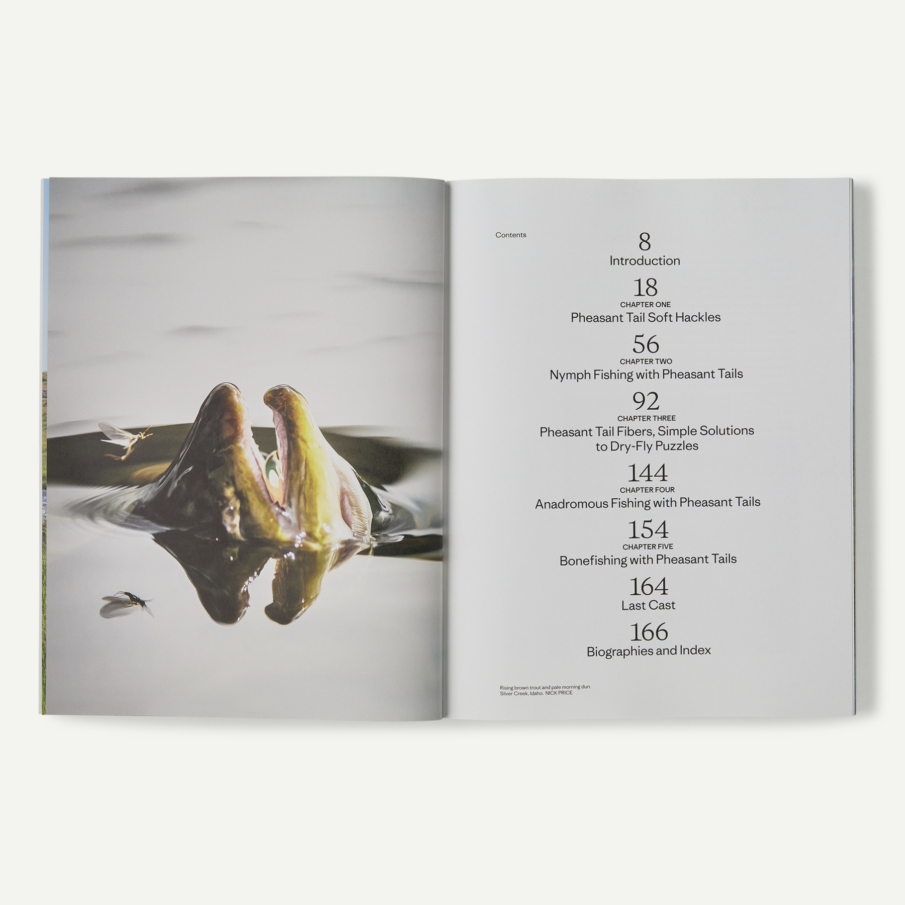 Pheasant Tail Simplicity: Recipes and Techniques for Successful Fly Fishing (by Yvon Chouinard, Craig Mathews, and Mauro Mazzo) - Image 9