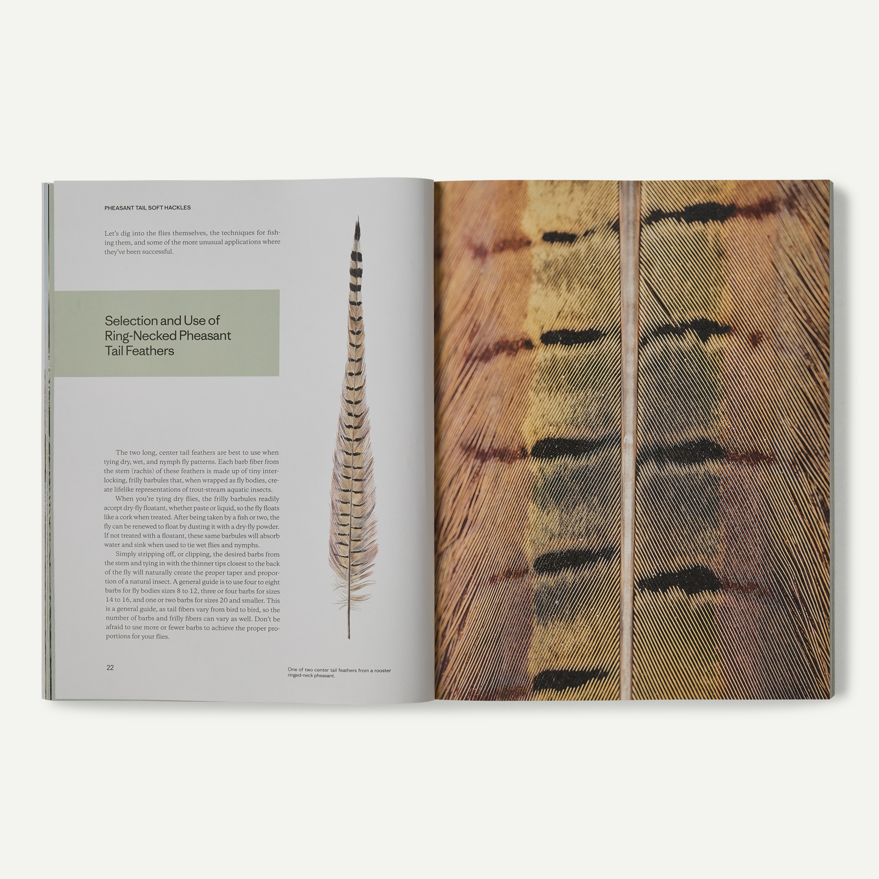 Pheasant Tail Simplicity: Recipes and Techniques for Successful Fly Fishing (by Yvon Chouinard, Craig Mathews, and Mauro Mazzo) - Image 13