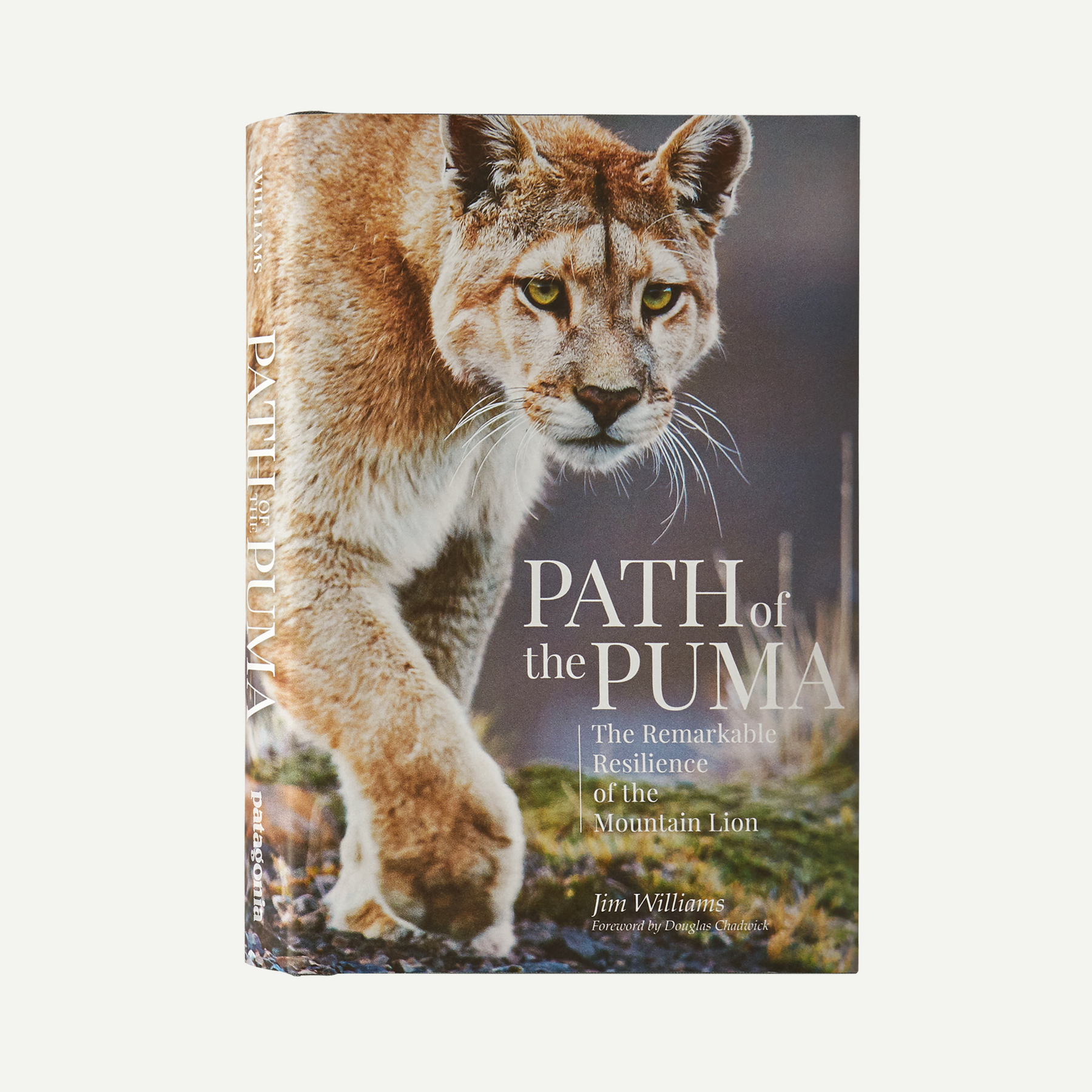 Path of the Puma: The Remarkable Resilience of the Mountain Lion (hardcover book)