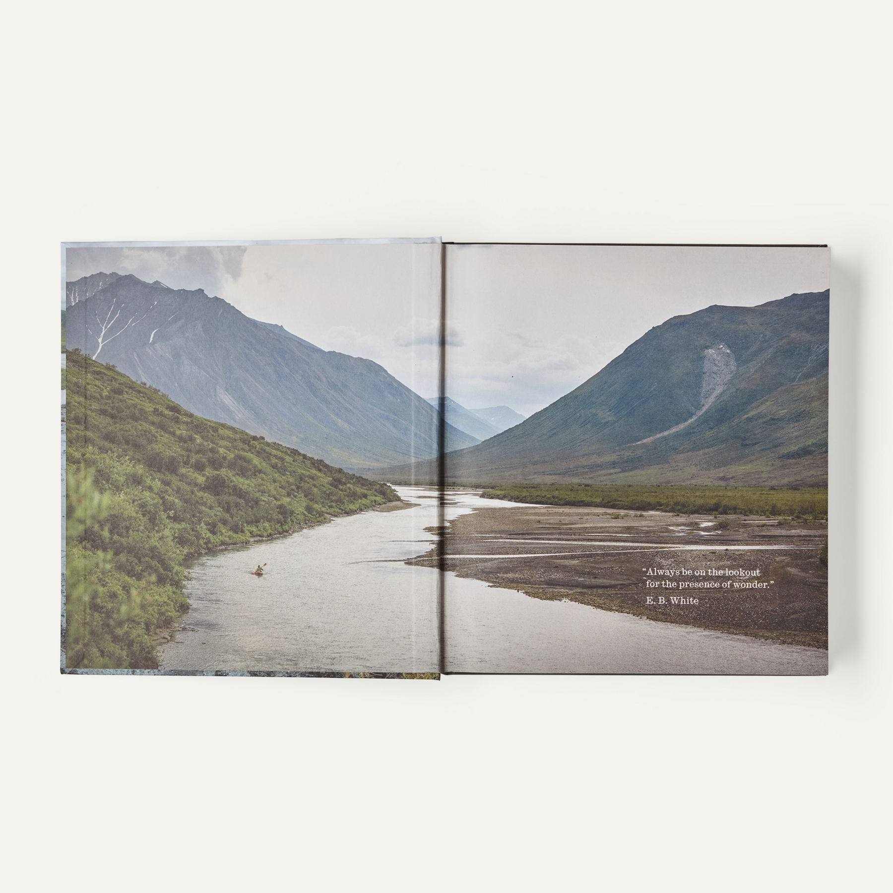 Into the Thaw: Witnessing Wonder amid the Arctic Climate Crisis (by Jon Waterman) - Image 3