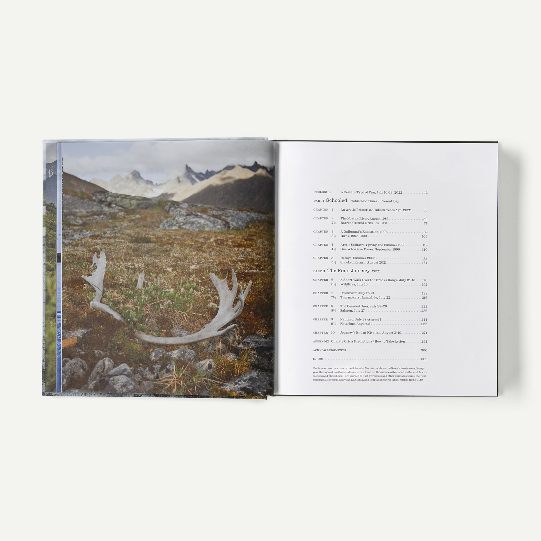 Into the Thaw: Witnessing Wonder amid the Arctic Climate Crisis (by Jon Waterman) - Image 5