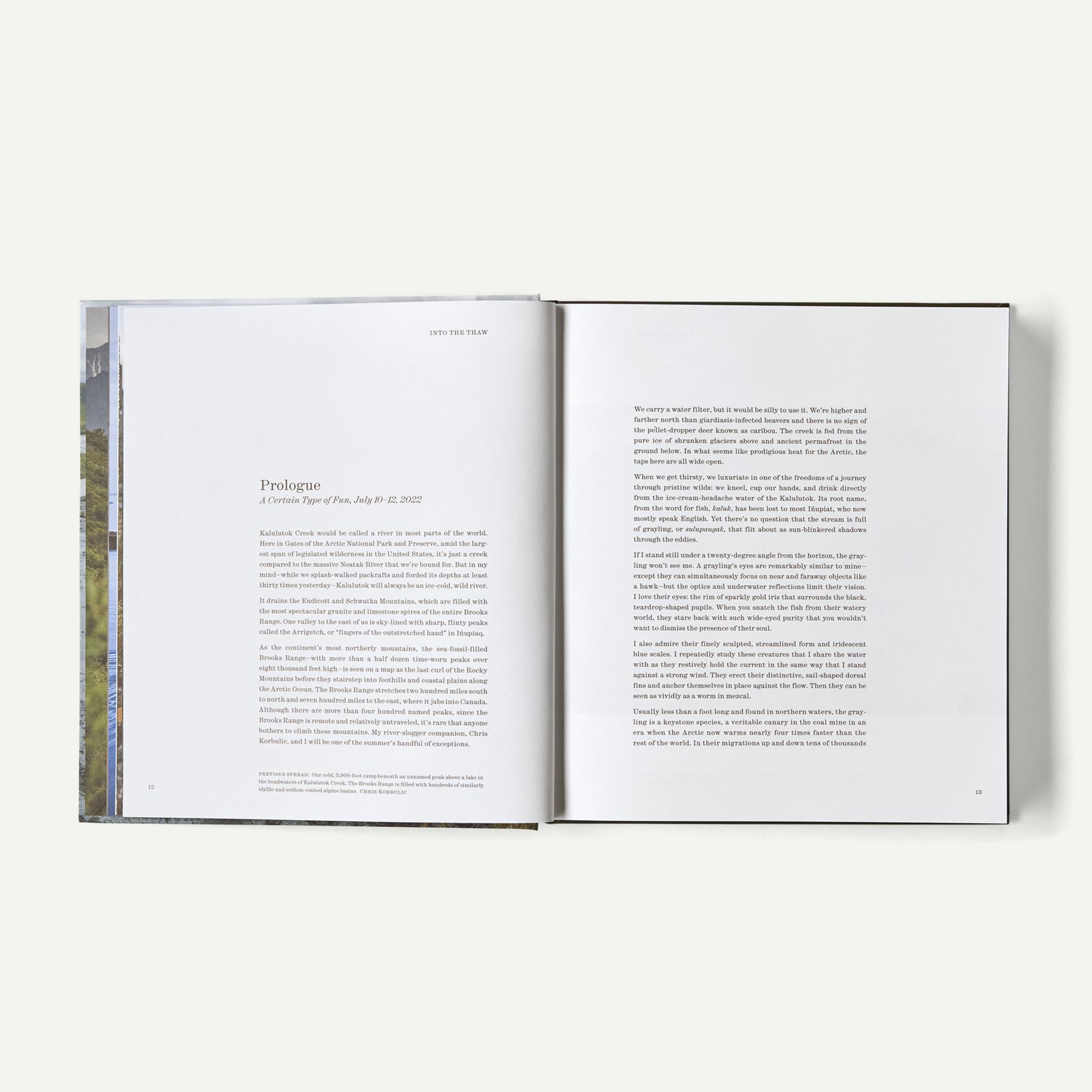 Into the Thaw: Witnessing Wonder amid the Arctic Climate Crisis (by Jon Waterman) - Image 6