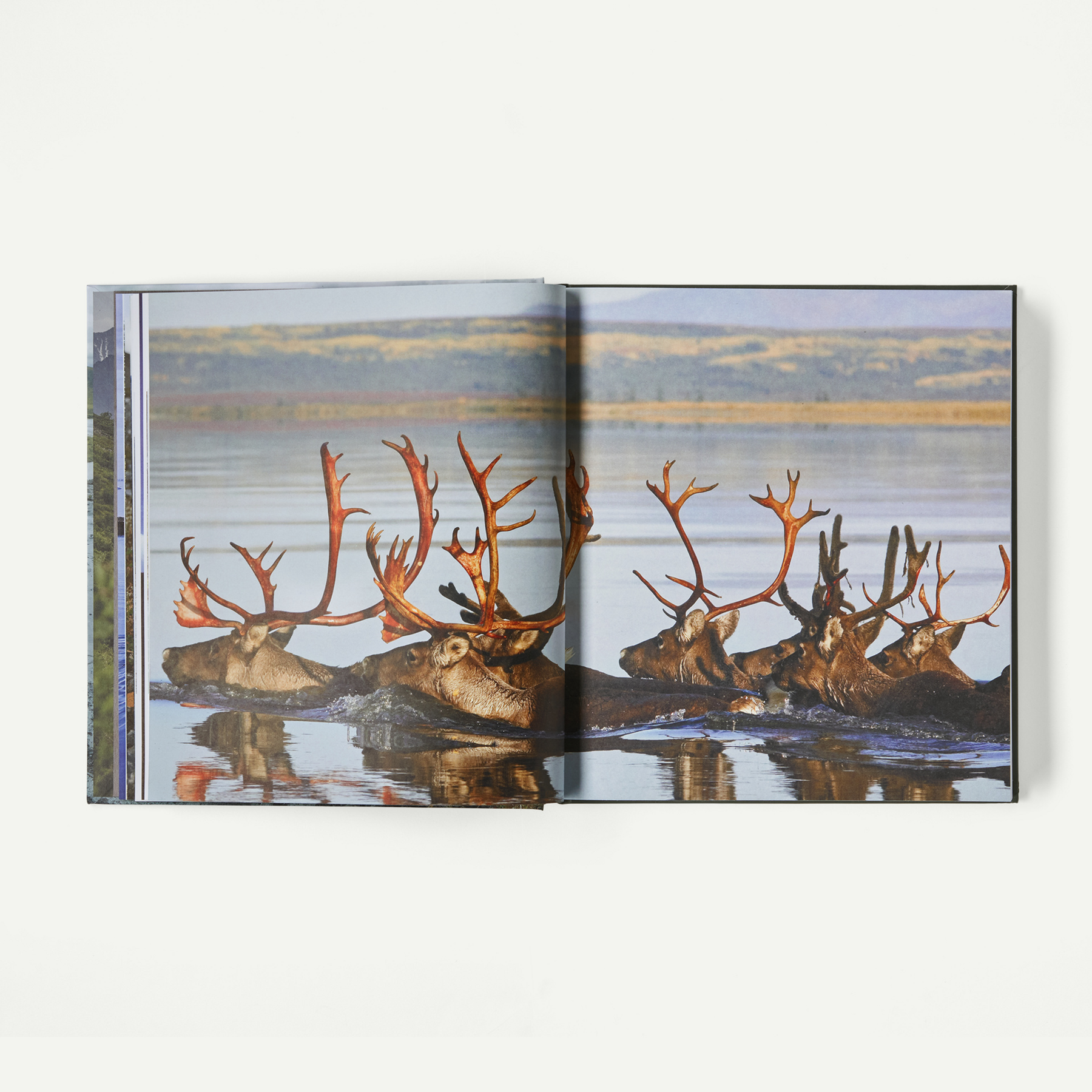 Into the Thaw: Witnessing Wonder amid the Arctic Climate Crisis (by Jon Waterman) - Image 8