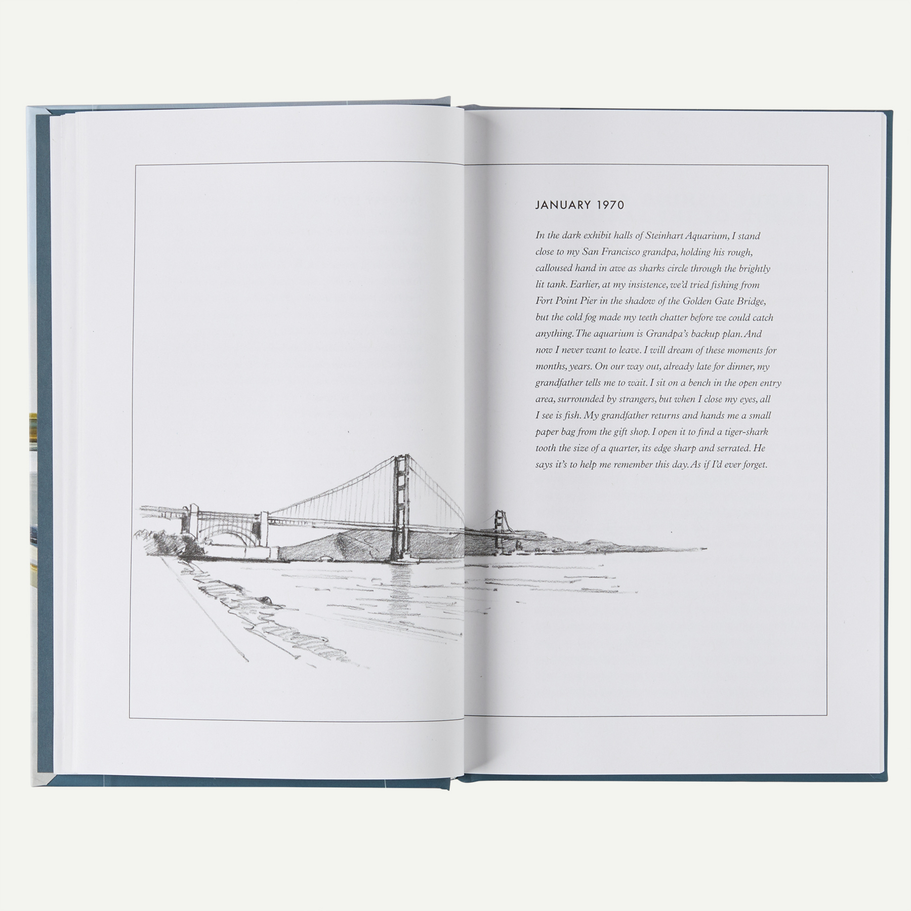 Headwaters: The Adventures, Obsession, and Evolution of a Fly Fisherman (by Dylan Tomine) - Image 6