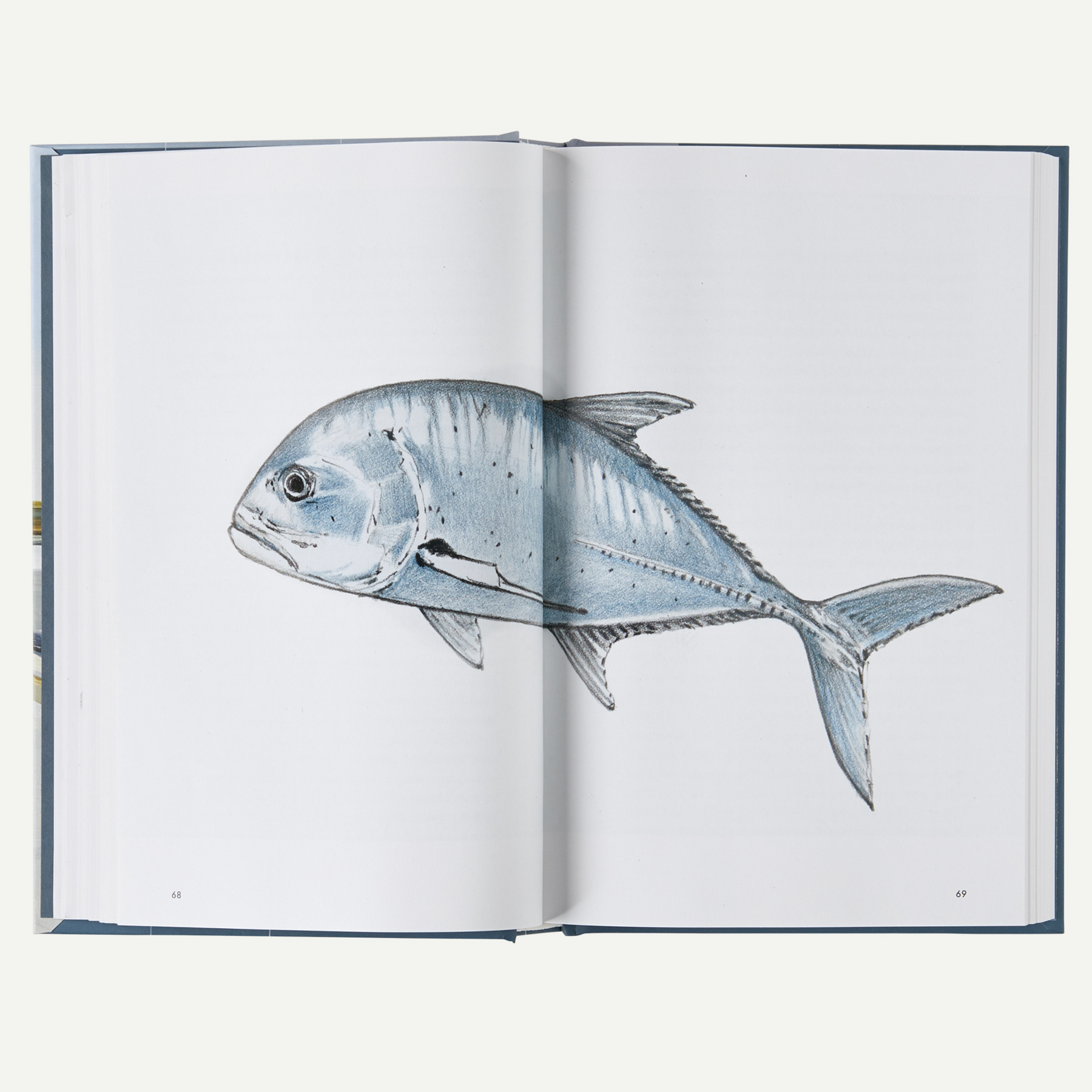 Headwaters: The Adventures, Obsession, and Evolution of a Fly Fisherman (by Dylan Tomine) - Image 7