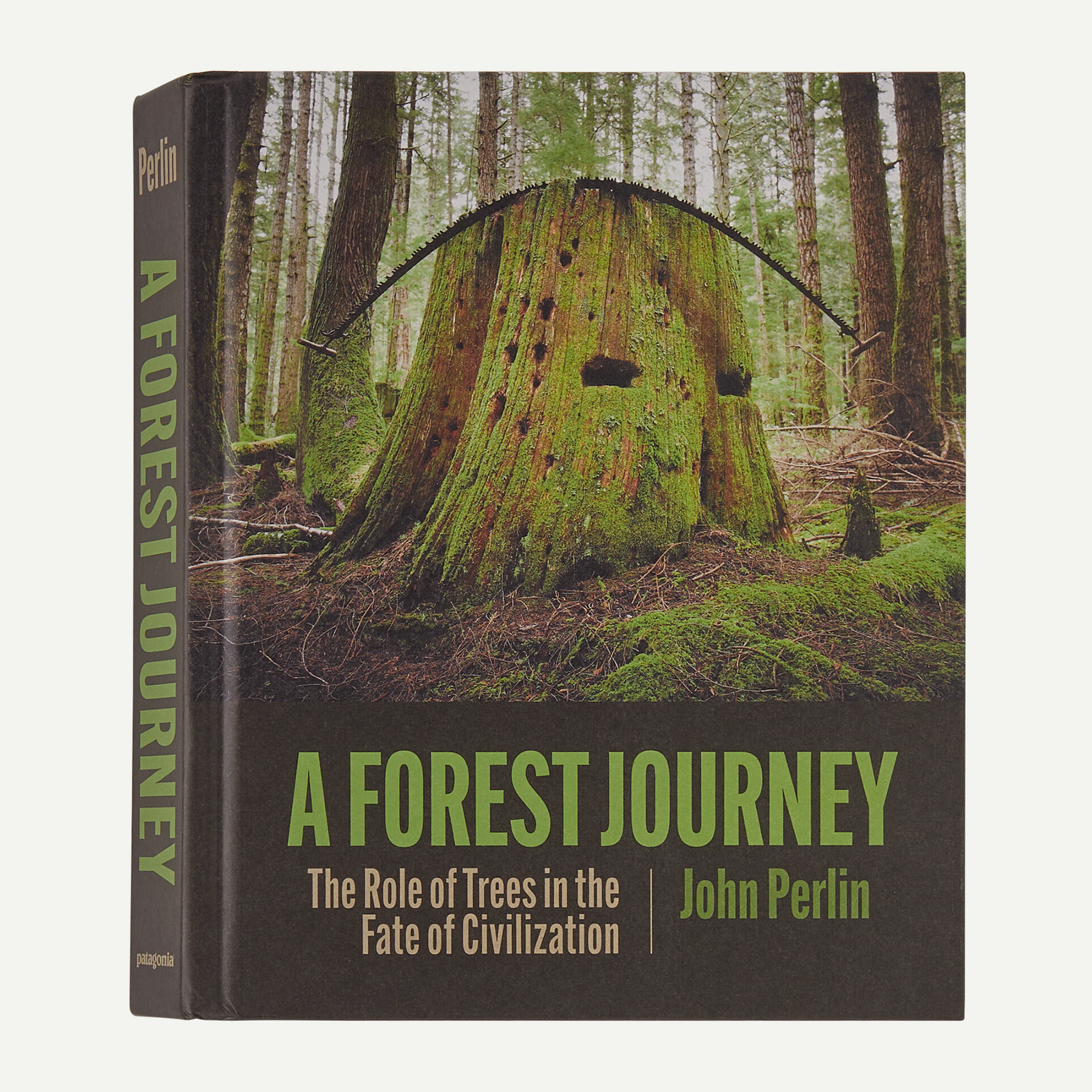 A Forest Journey: The Role of Trees in the Fate of Civilization (by John Perlin)