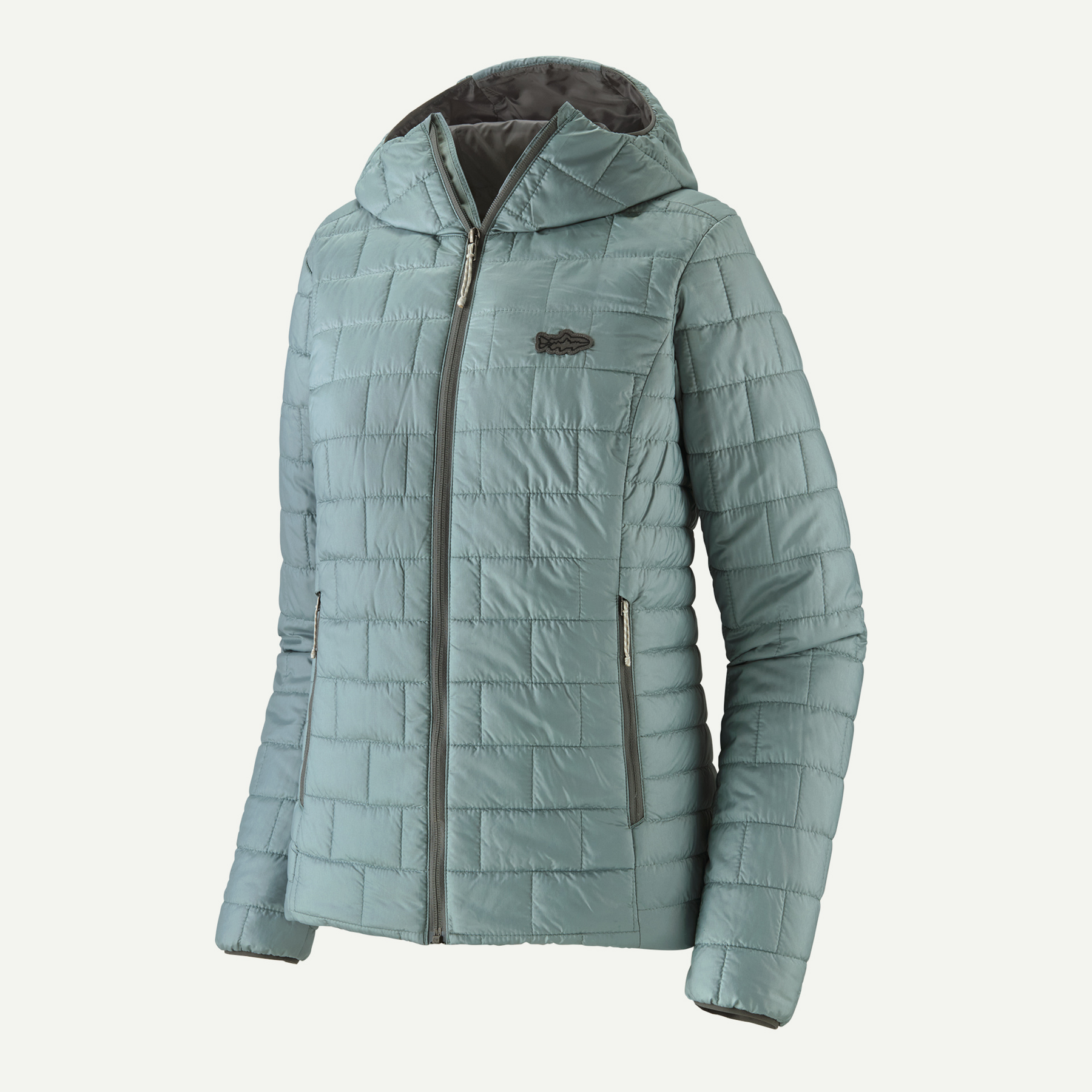 Women's Nano Puff Fitz Roy Trout Hoody