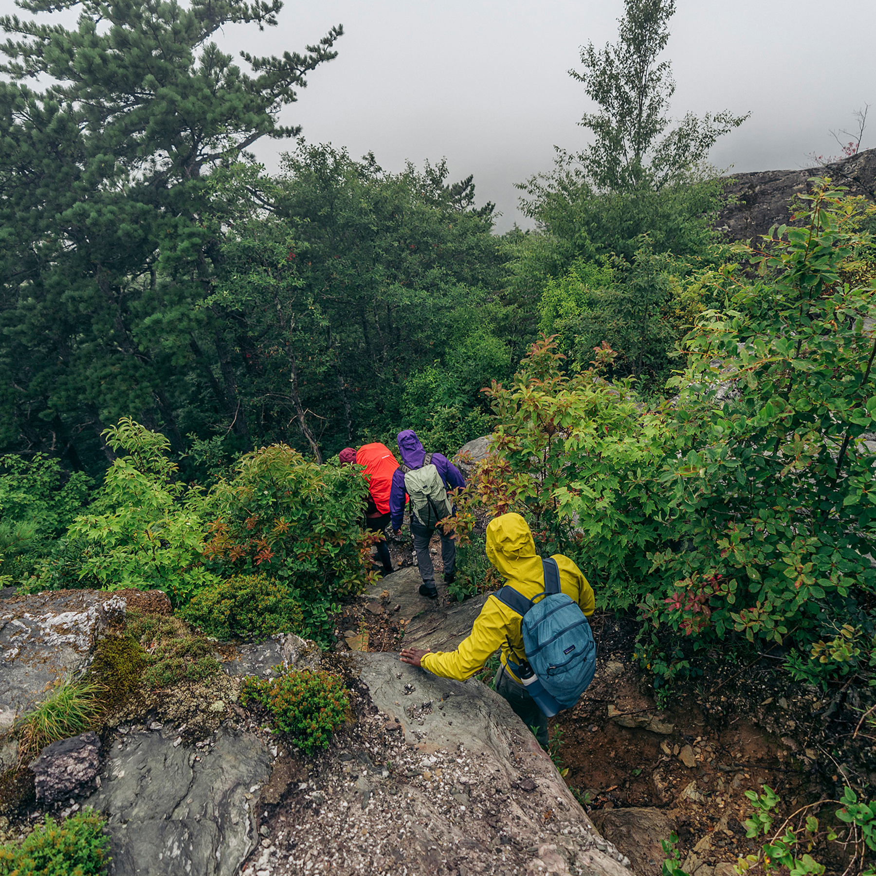 Women's Torrentshell 3L Rain Jacket - Image 7
