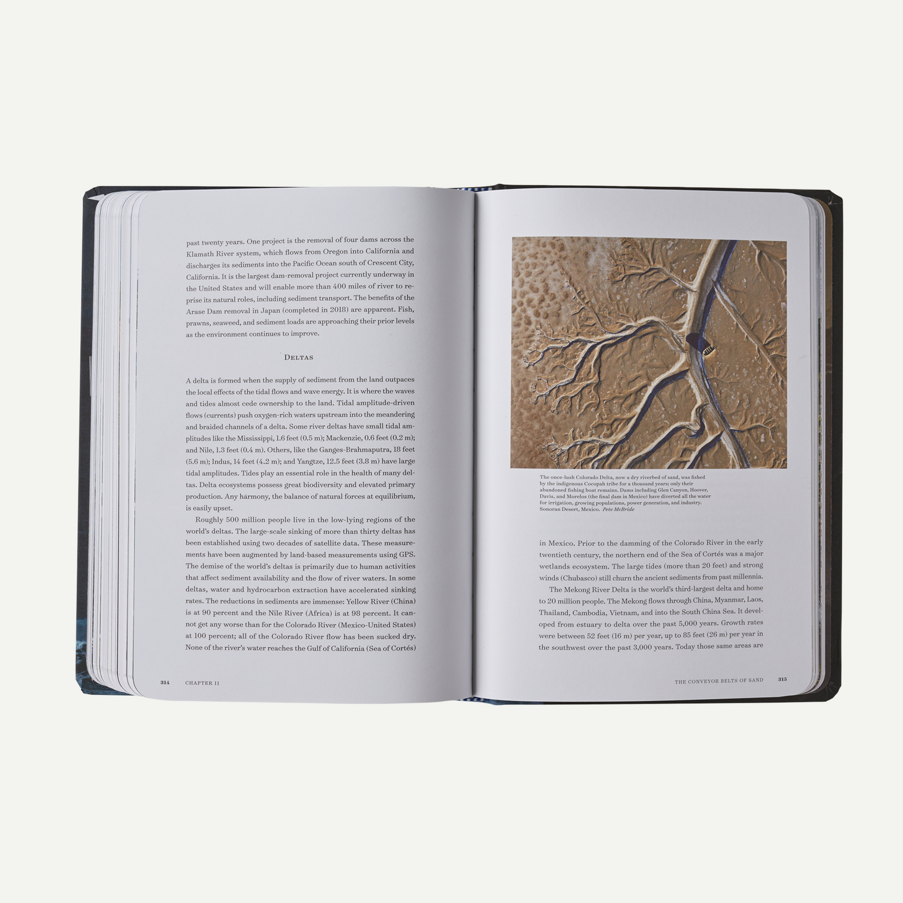 Waves and Beaches: The Powerful Dynamics of Sea and Coast (By Willard Bascom and Kim McCoy) - Image 10