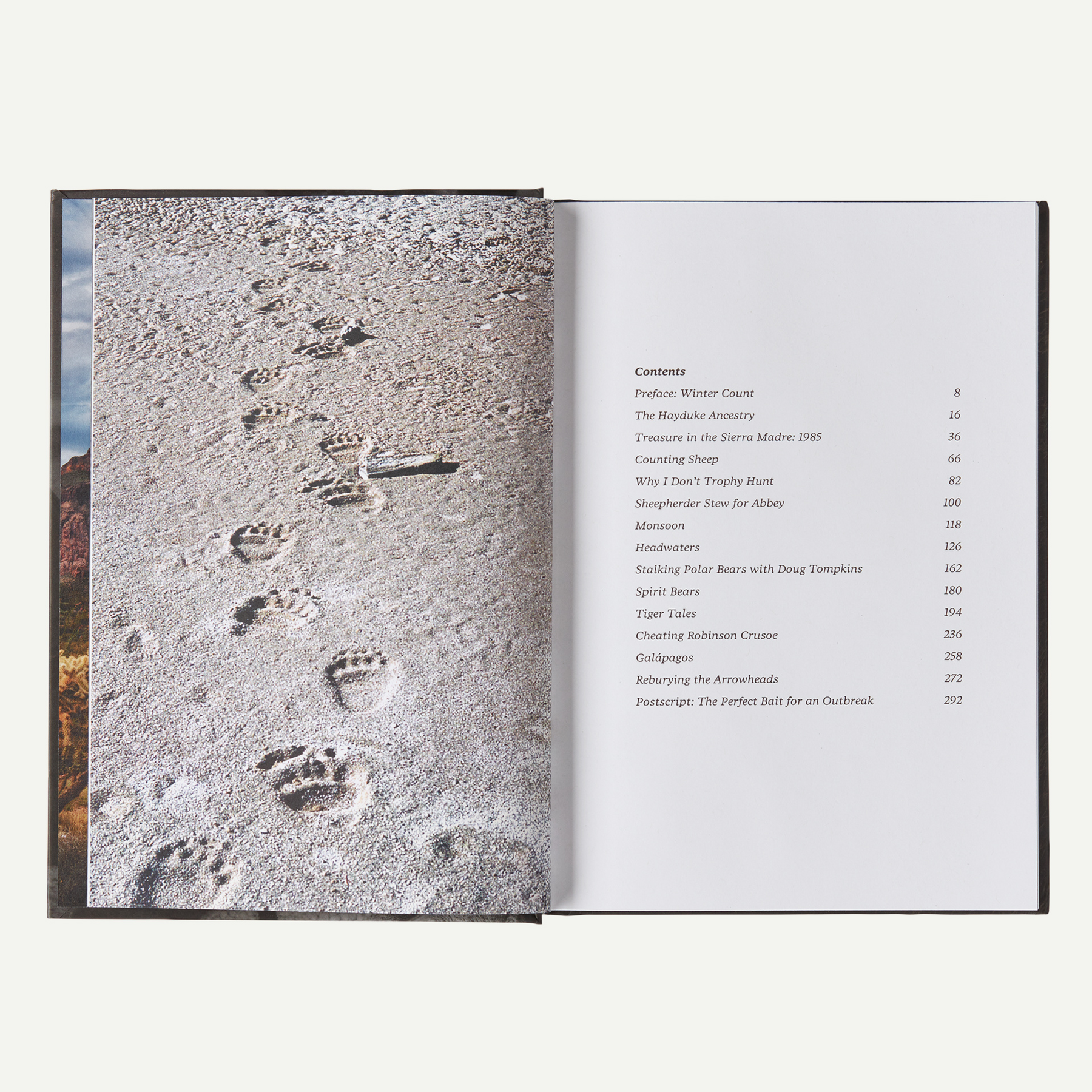 Was It Worth It?: A Wilderness Warrior's Long Trail Home (by Doug Peacock) - Image 3