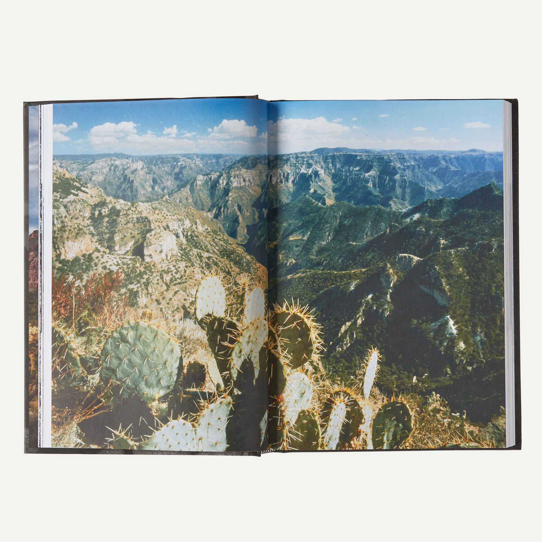 Was It Worth It?: A Wilderness Warrior's Long Trail Home (by Doug Peacock) - Image 7